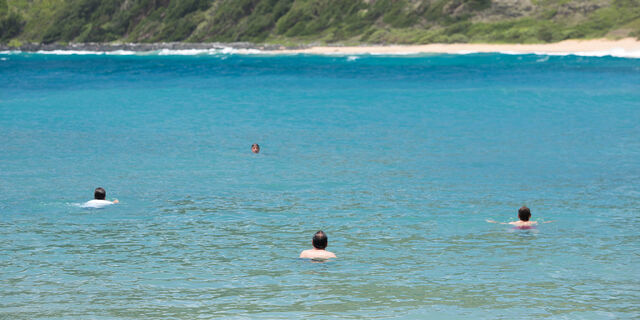 File:Swimming-in-the-ocean.jpg