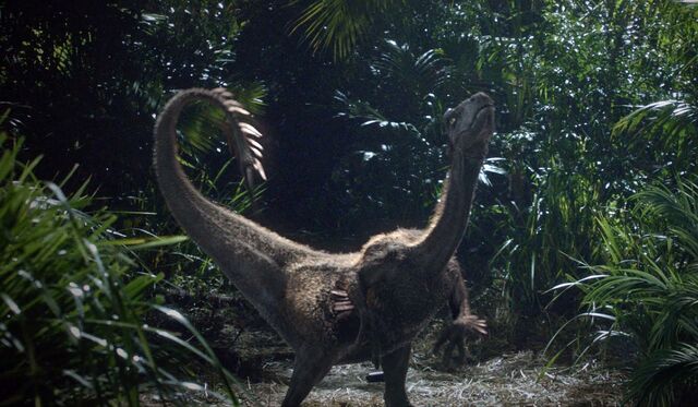 File:Nicoraptor 001.jpg