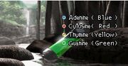 Nucleotides