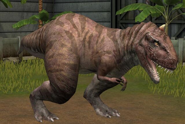 File:Rajasaurus (33).jpg