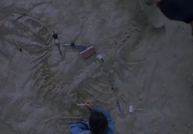 File:Raptordig.png