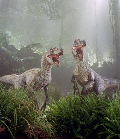 File:Raptorpair.jpg