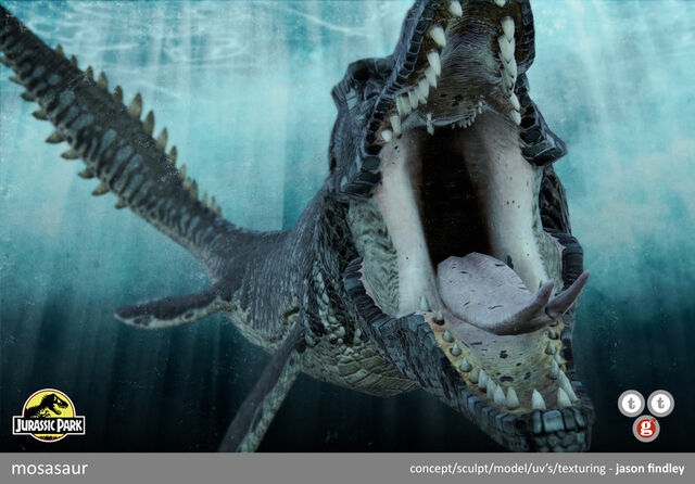 File:JPTG Tylosaur (31).jpeg