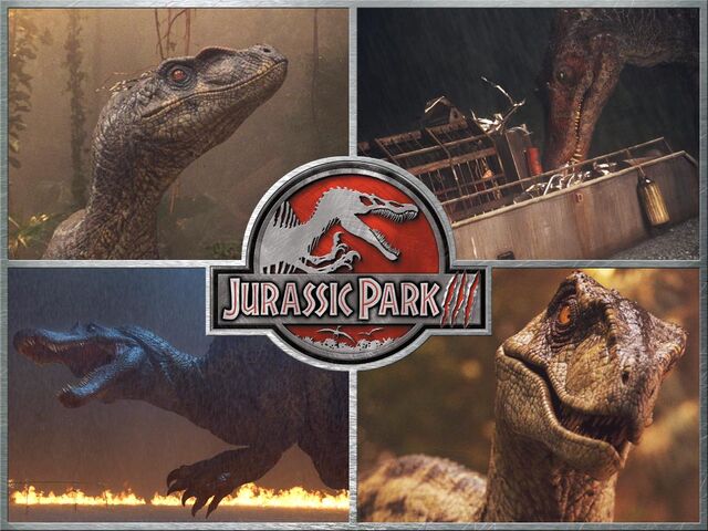 File:JP3-DesktopBackgrounds3.jpg