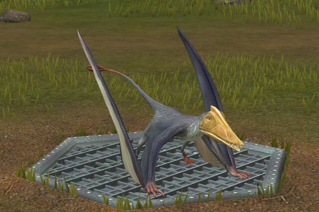 File:Scaphognathus (12).jpg