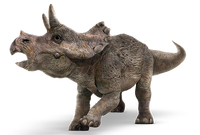 Triceratops-info-graphic.png