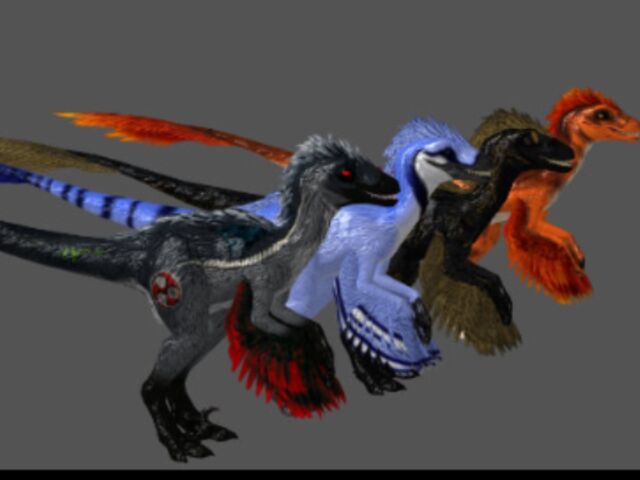 File:Featheredraptor11.jpg