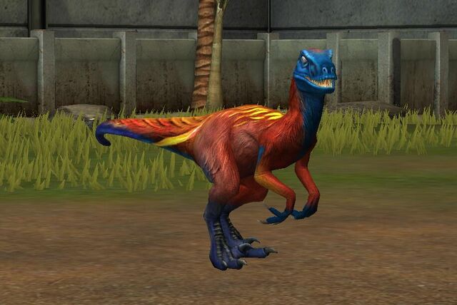 File:Utahraptor Oweni (76).jpg