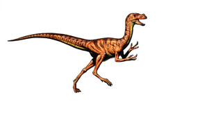 Ornitholestes-0.jpg