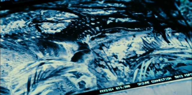 File:Indominus Rex (27).png
