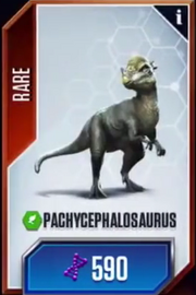 Pachycephalosaurus
