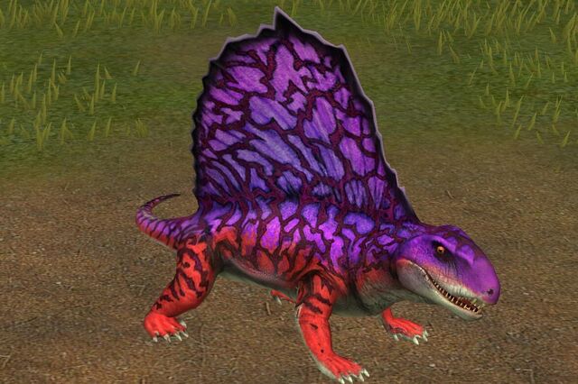 File:Dimetrodon Grandis (60).jpg
