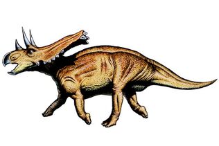 Chasmosaurus