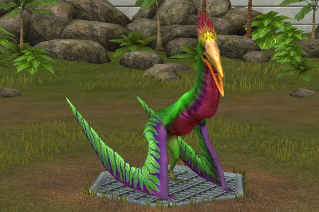 File:Pelecanipteryx (13).jpg