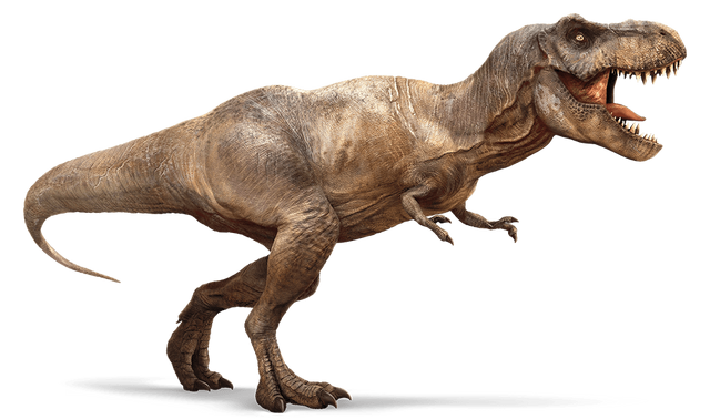 Файл:T-Rex 2.png