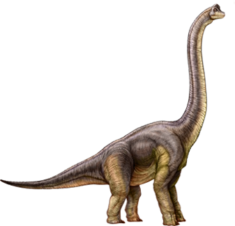 Brachiosaurus (4)