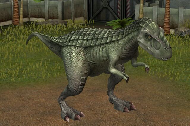File:Gorgosaurus Libratus (13).jpg