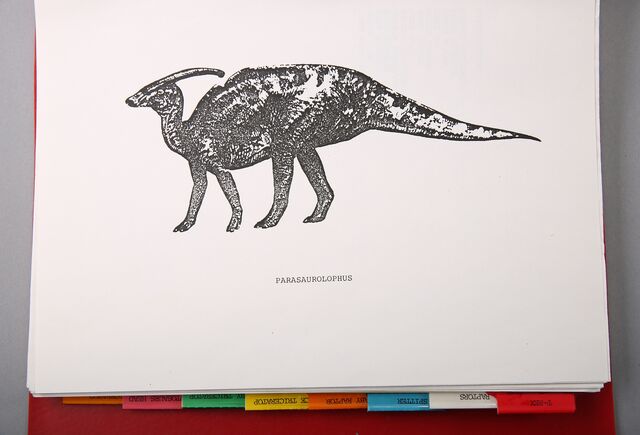 File:Tippettparasaur.jpg