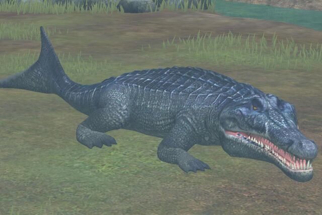 File:Metriorhynchus (36).jpg