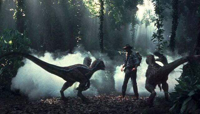 File:Jurassic-park-3-7.jpg