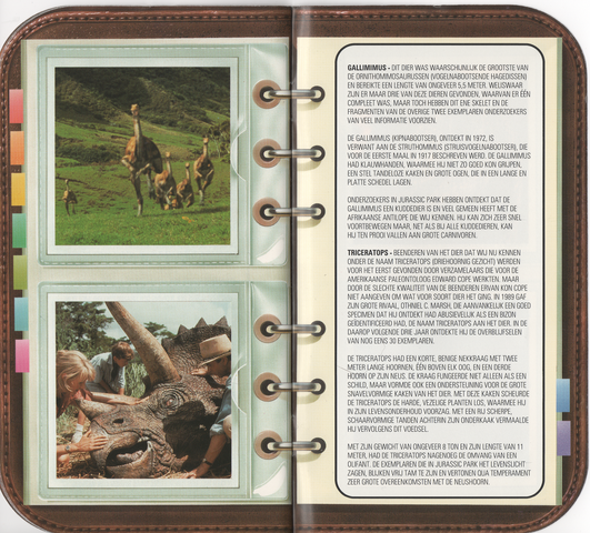 File:Fossil Booklet 8.png