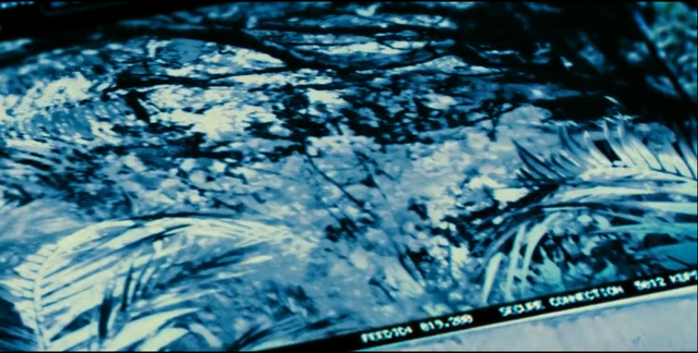 File:Indominus Rex (73).png