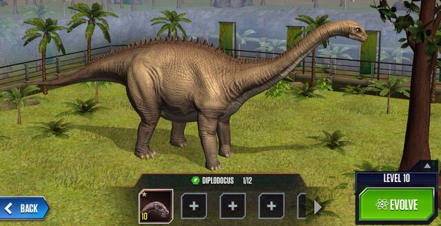 File:Diplodocus Base.jpg