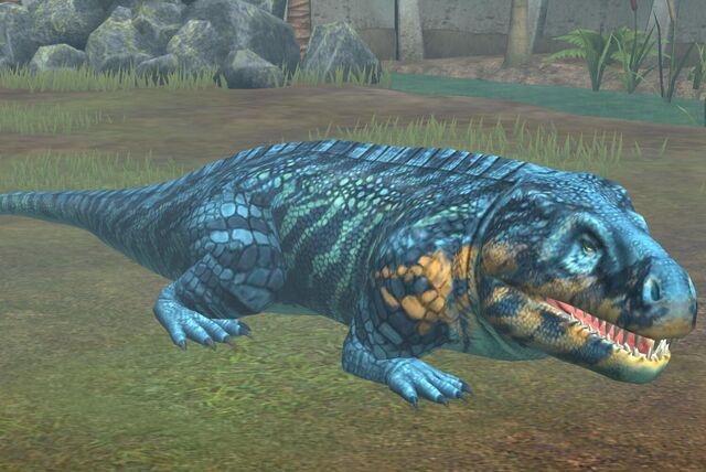 File:Limnoscelis (25).jpg