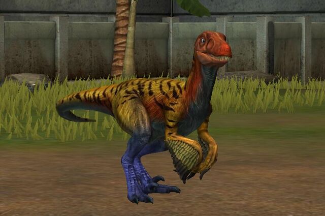 File:Pyroraptor (19).jpg