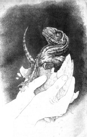 File:Babyraptor.jpg