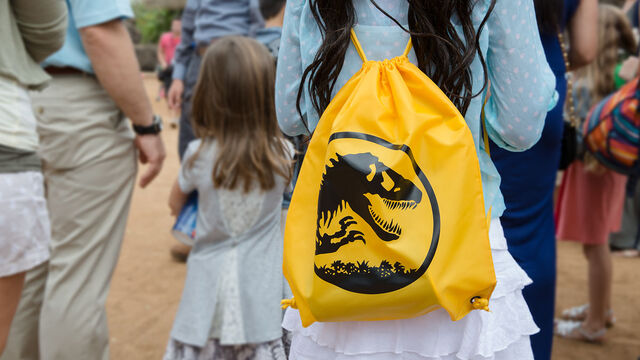 Файл:Yellow-backpack.jpg