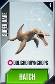Dolichorhynchops-0.jpg