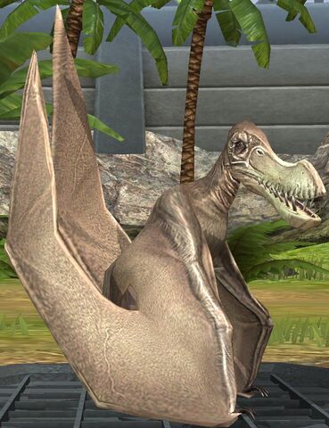 File:Colonorhynchus lvl 10.jpg