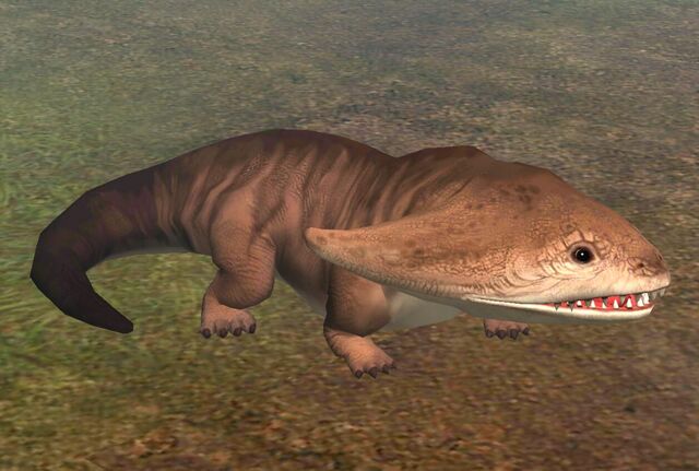 File:Diplocaulus (19).jpg
