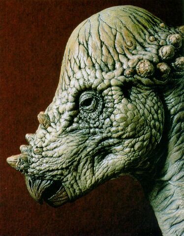 File:Pachycephalosaurus J01-Dinosaur-Face.jpg