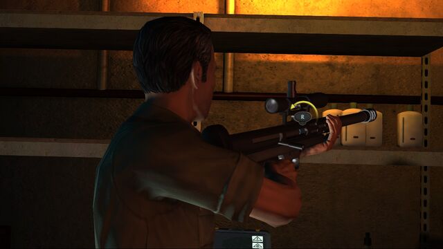 File:Tranqrifle2.jpg