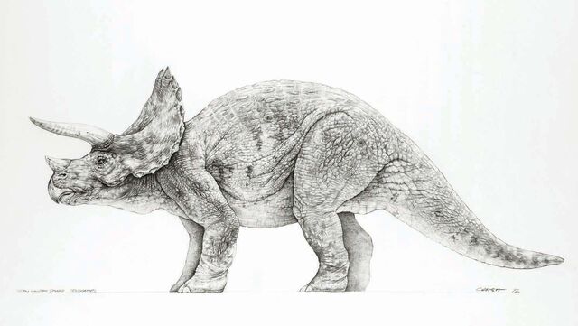 File:Triceratops concept art.jpg