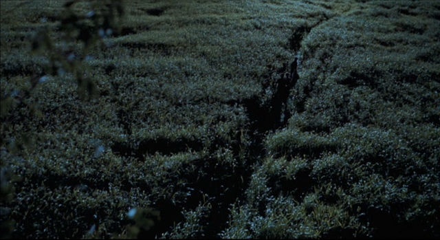 File:Long-Grass.png