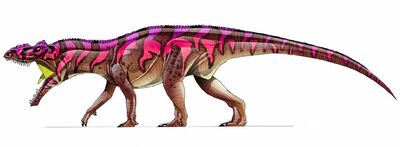 Saurosuchus2 (2)