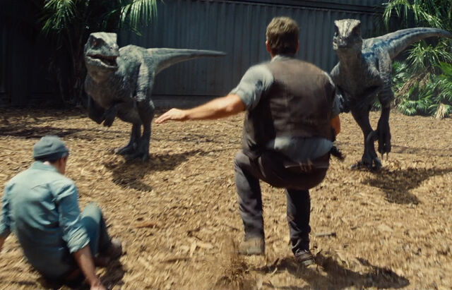 File:Jurassic-World-by-Universal-Studios-7-0.jpg