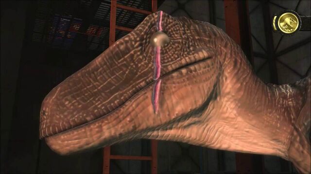 File:Scarred-raptor-leader-jptg 2.jpg
