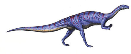 Plateosaurus-Robert-F Walters