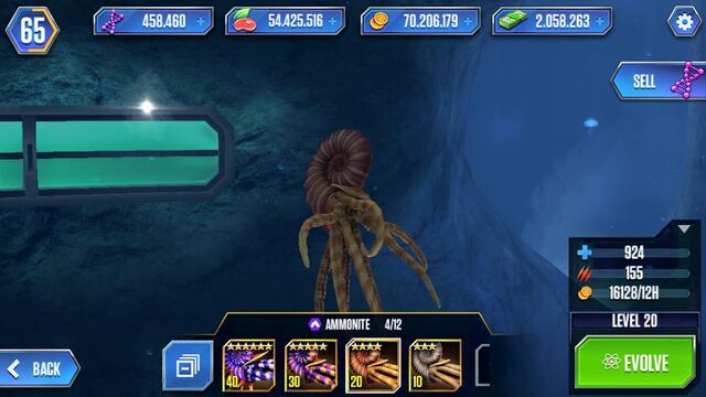 File:Lvl20Ammonite.jpg