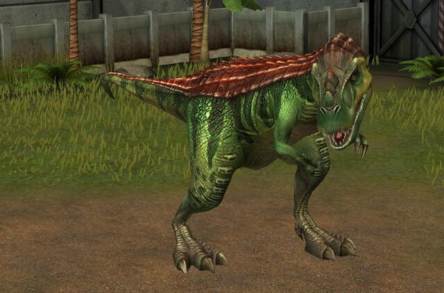 File:Gorgosaurus Libratus (15).jpg