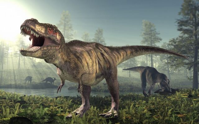 File:Tyrannosaurus-rex-zoom-800x500.jpg