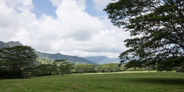 File:Isla-nublar-valley.jpg