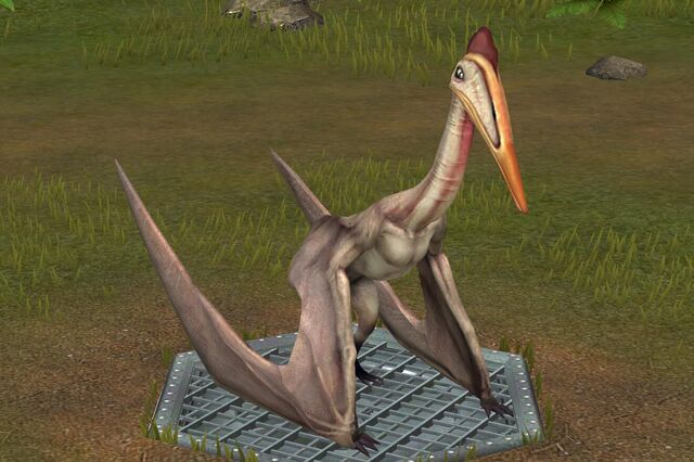 File:Hatzegopteryx (16).jpg