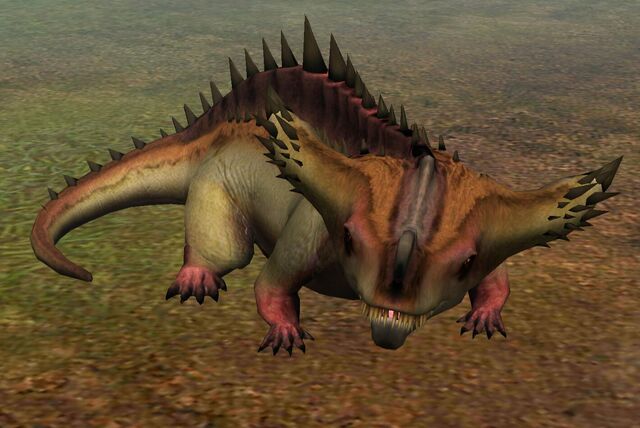 File:Diplotator (11).jpg