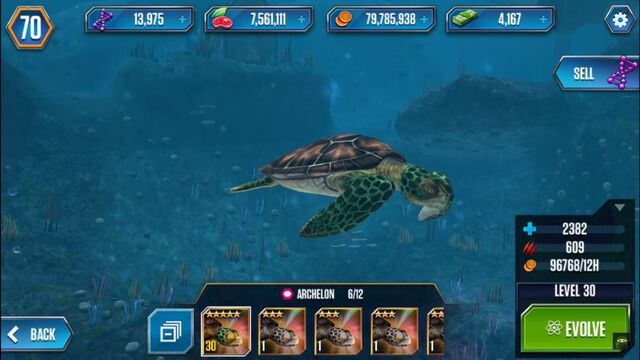 File:Lvl30turtle.jpg