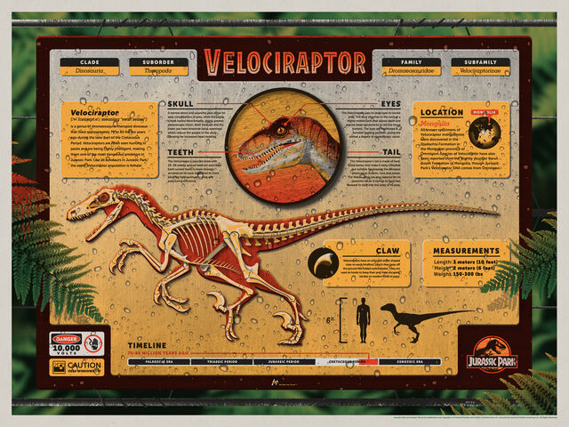File:Jurassic+Park +Velociraptor+Poster+by+DKNG.jpg